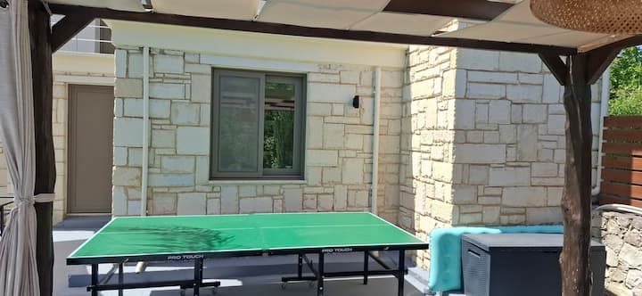 renaissance modern home! private pool (11)