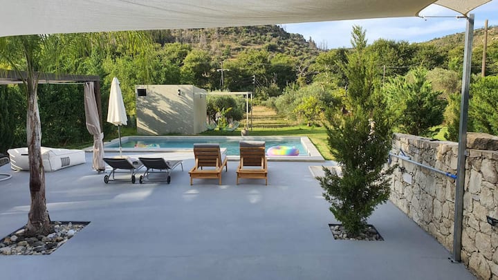 renaissance modern home! private pool (21)